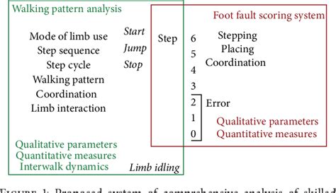 Modification of the Ladder Rung Walking Task—New Options for 